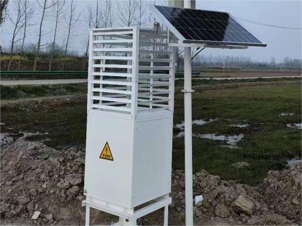 蟲(chóng)情測(cè)報(bào)燈案例實(shí)拍